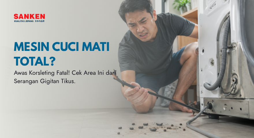 Bahaya Kabel Mesin Cuci Digigit Tikus Lakukan Perlindungan Ekstra di Area Belakang Mesin